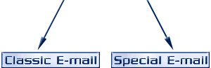 O live Design E mail Us